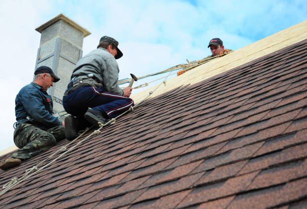 Best Roof Maintenance Services  in Blossom, TX